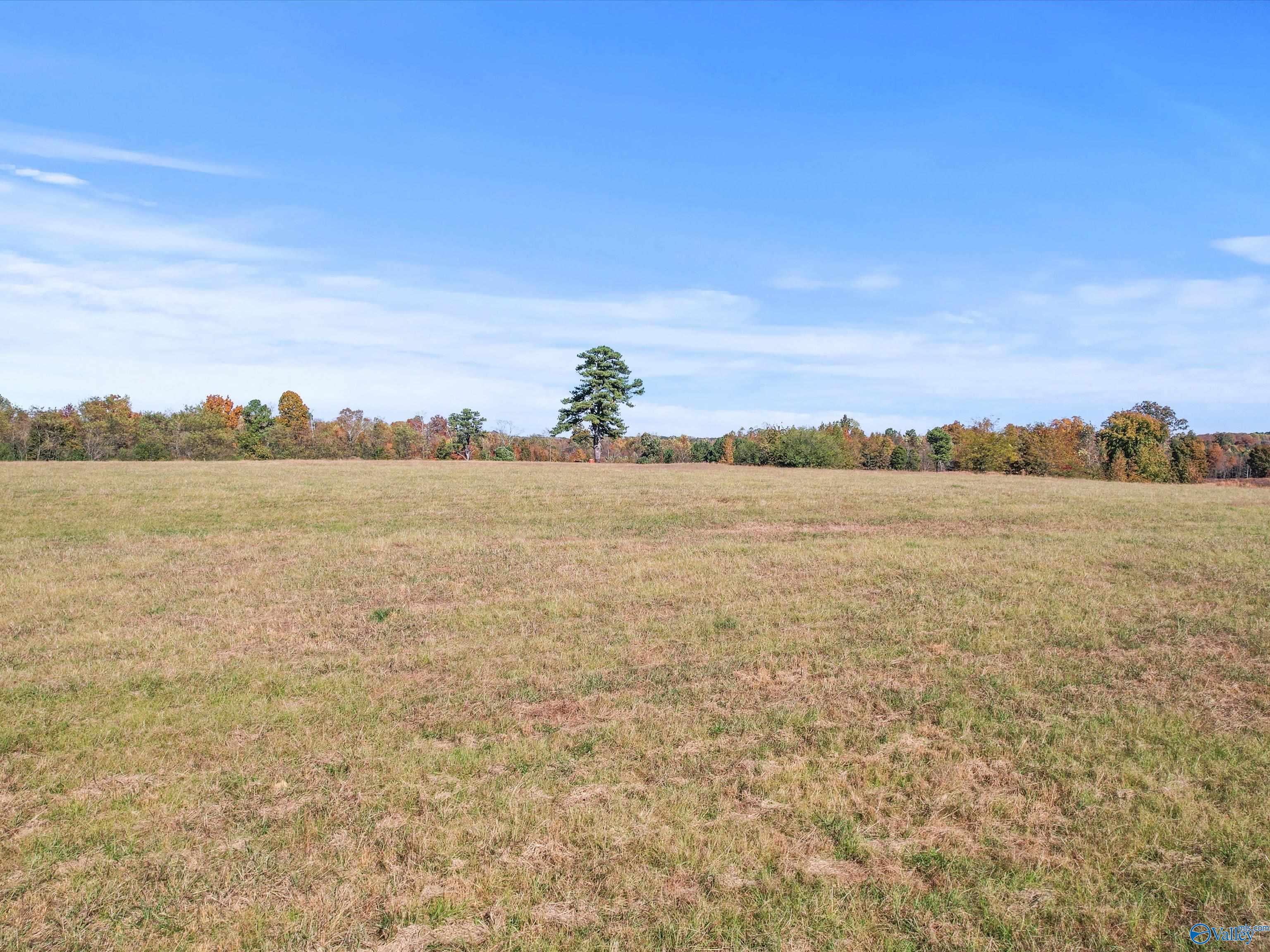 99+/- Acres Hobbs Loop Road