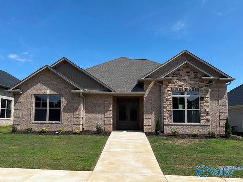 Homes For Sale - 12392 Narayan Street<br/> Limestone County, Madison, AL 35756