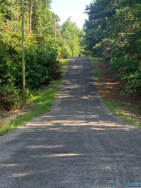 Vacant Land For Sale - LOTS 32 33 Chawnee Circle<br/> Scottsboro, AL 35768