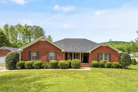 Homes For Sale - 59 Abby Road<br/> Grant, AL 35747