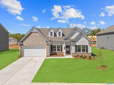 Homes For Sale - 153 Harvest Moon Drive<br/> Harvest, AL 35749