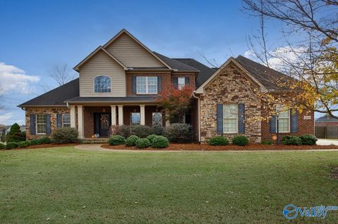 Homes For Sale - 100 Stone River Road<br/> Huntsville, AL 35811