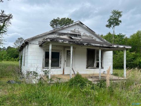 Photo of 236 Cobb Road, Gurley, AL 35748 (MLS # 21917182)