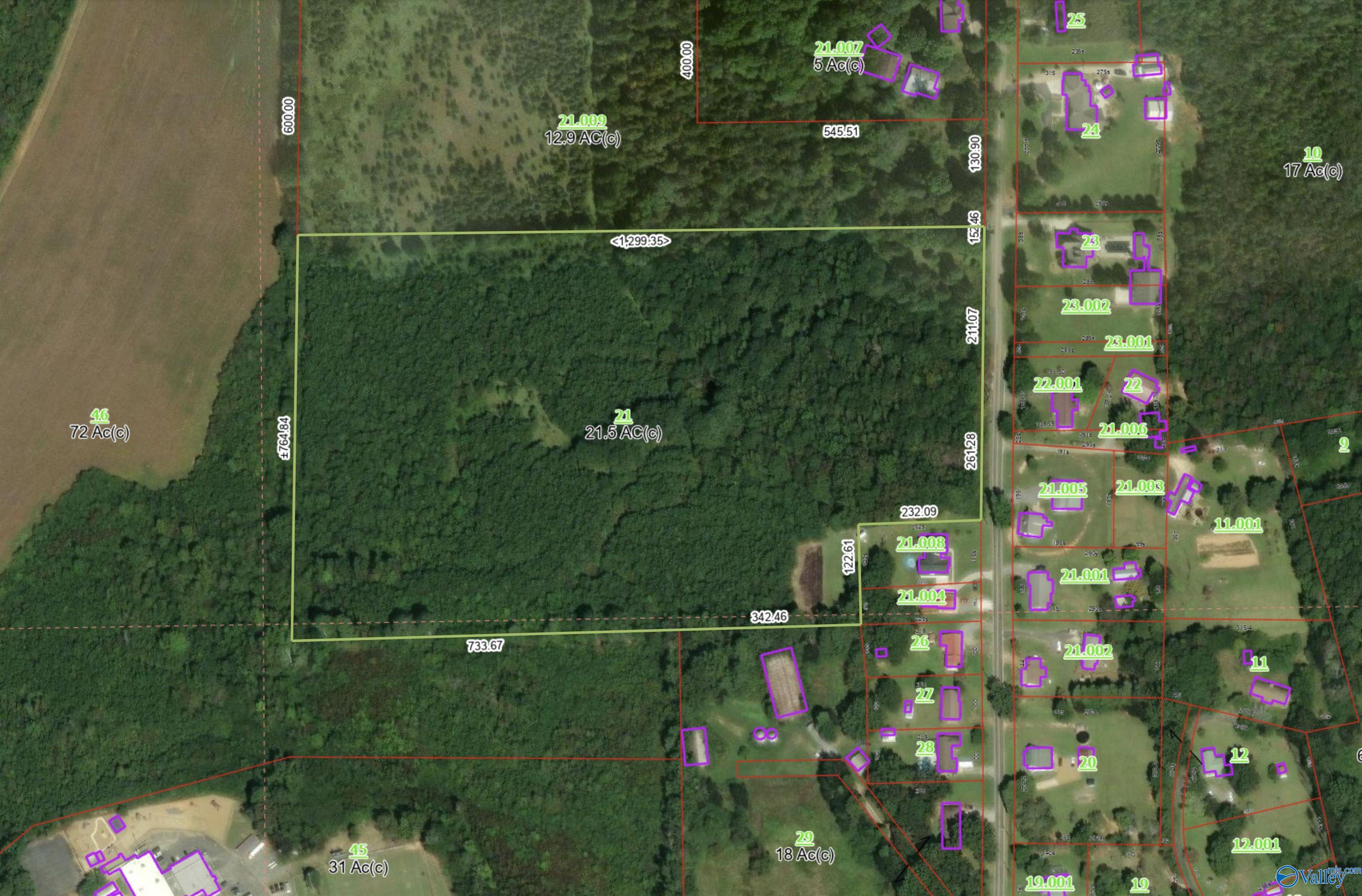 21.5 Acres +/- County Road 91, Gaylesville, Alabama image 2