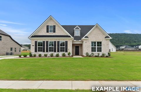 Homes For Sale - 7519 Speckle Belly Boulevard<br/> Owens Cross Roads, AL 35763