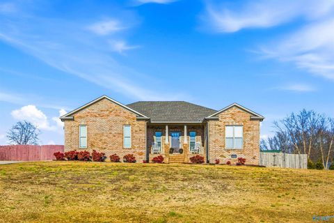 Photo of 21198 Barley Terrace Drive, Elkmont, AL 35620 (MLS # 21909580)