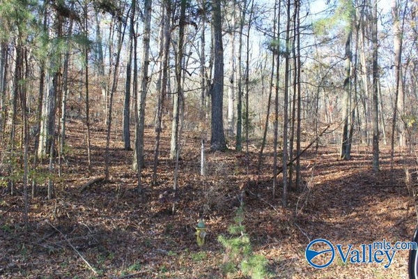 407 TOMAHAWK CIR, GUNTERSVILLE, AL 35976 - Image 52440b28a07d7d64c95fe4466ec2b79d/2600747557