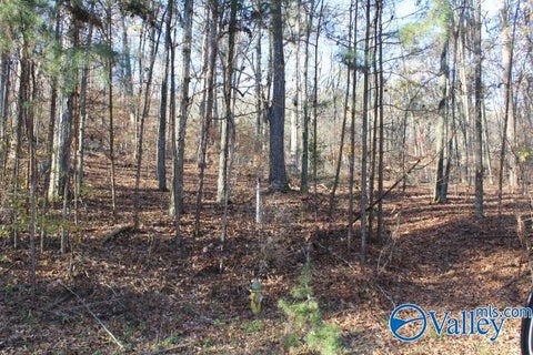 Vacant Land For Sale - 404 Tomahawk Circle<br/> Guntersville, AL 35976