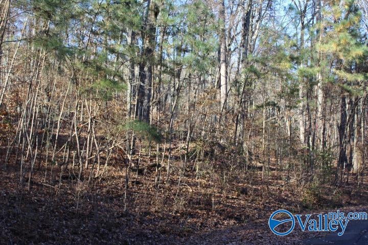 404 Tomahawk Circle