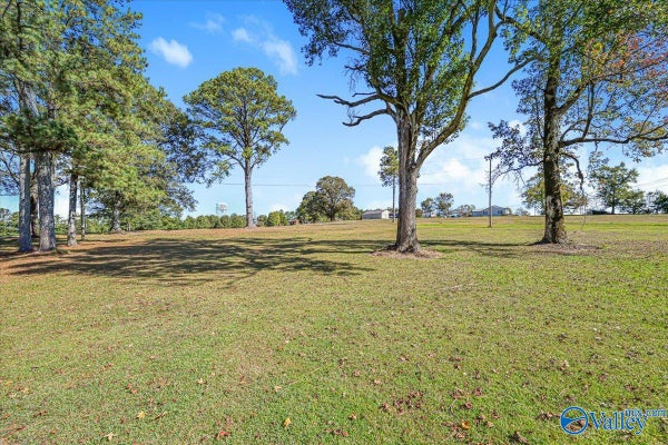 6231 AL HIGHWAY 69 N, CULLMAN, AL 35058 - Image 52444d473f5a82a11d2fb70e9ce33294/713095903