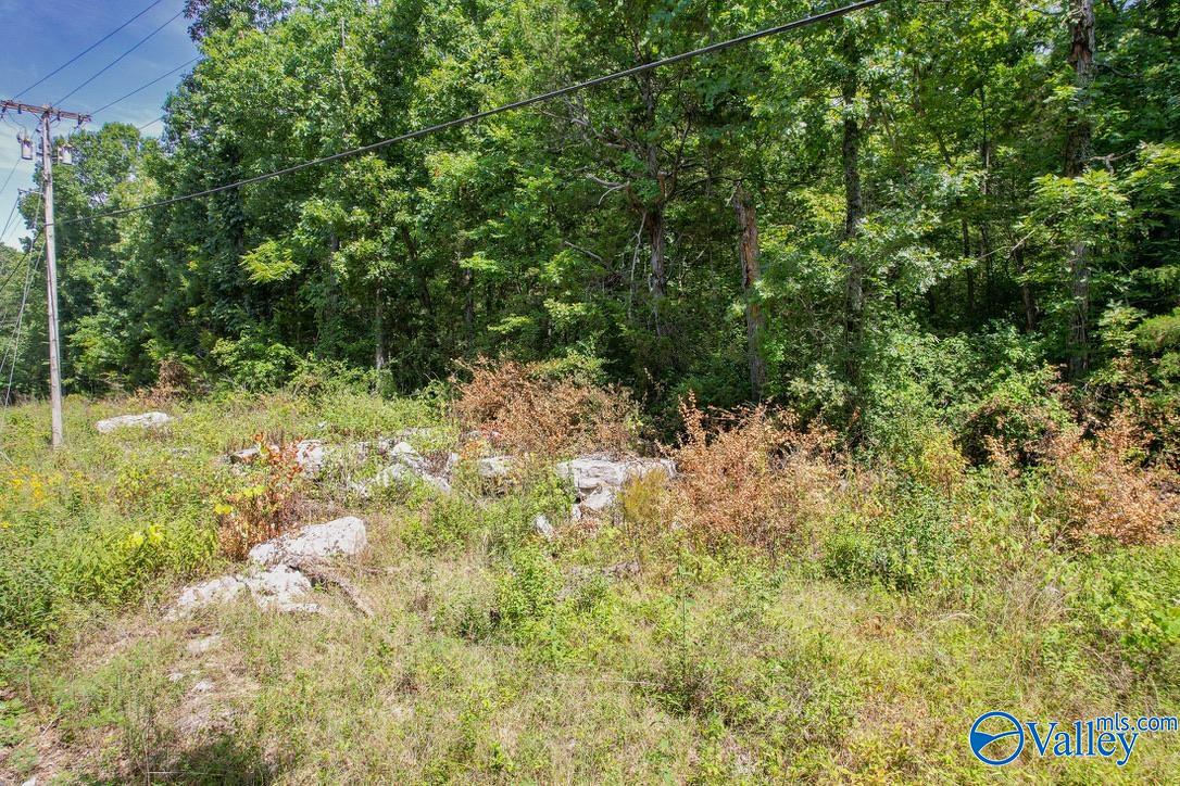 Lot 0 Juniper Drive, Huntsville, Alabama image 6