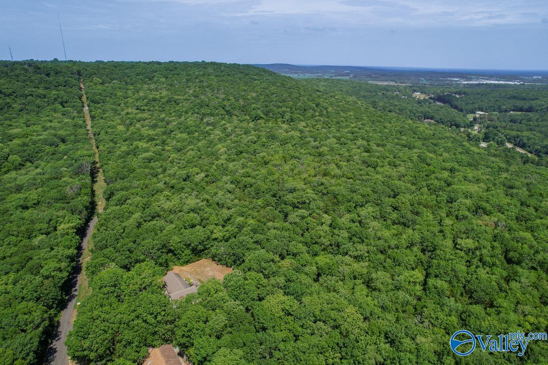 Lot 0 Juniper Drive, Huntsville, Alabama image 14