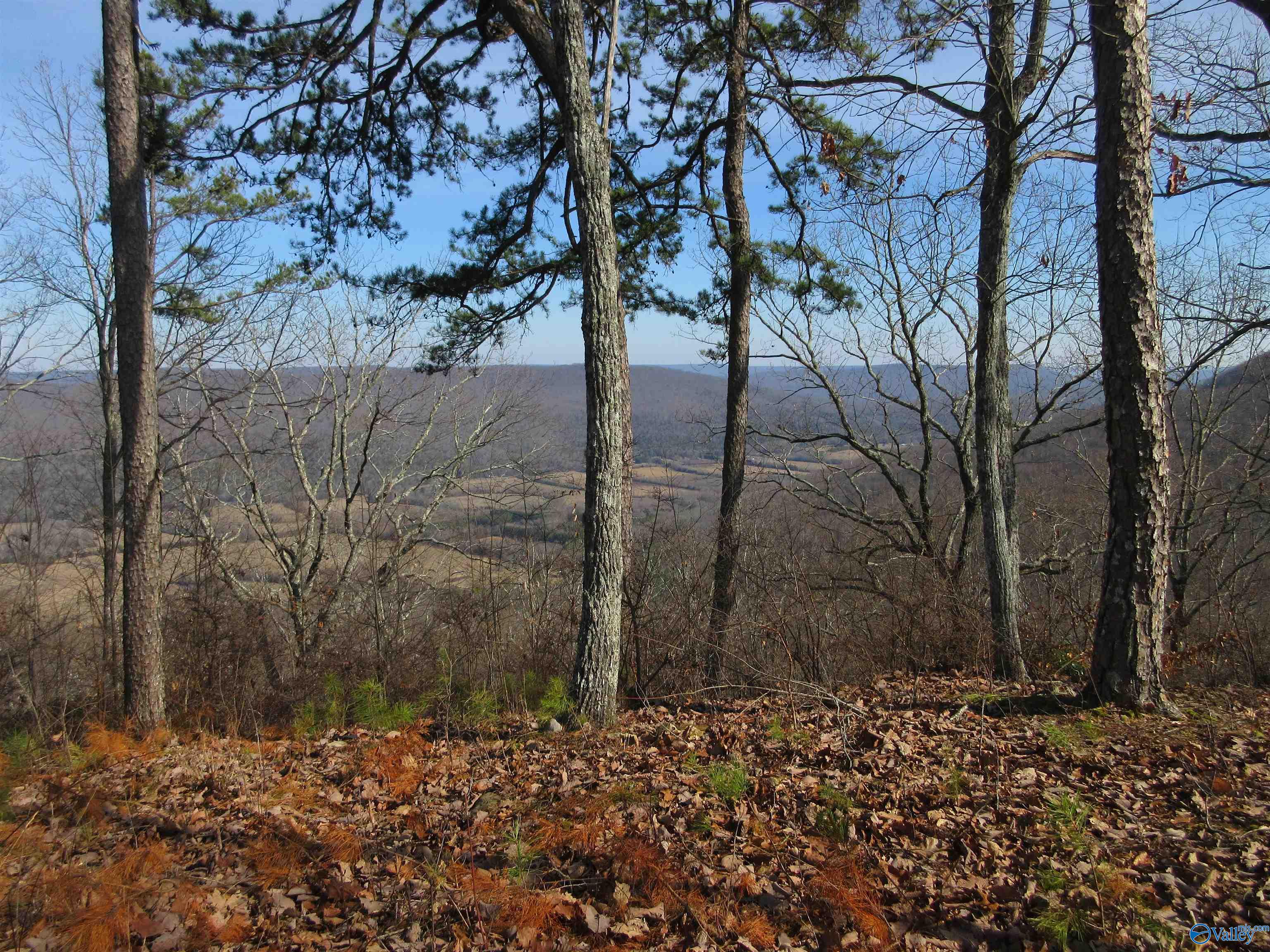 4400 County Road 39, Fackler, Alabama image 9