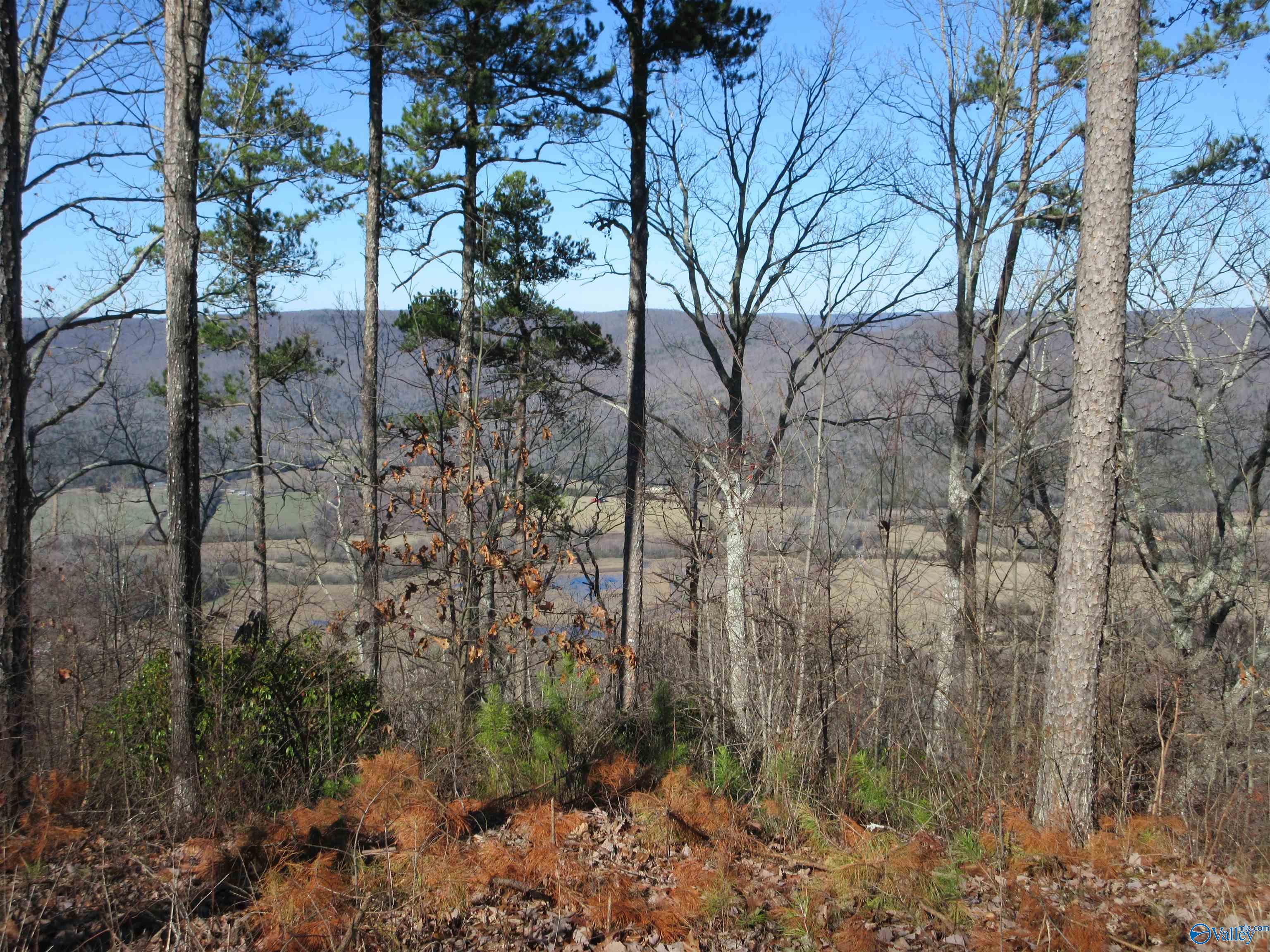 4400 County Road 39, Fackler, Alabama image 10