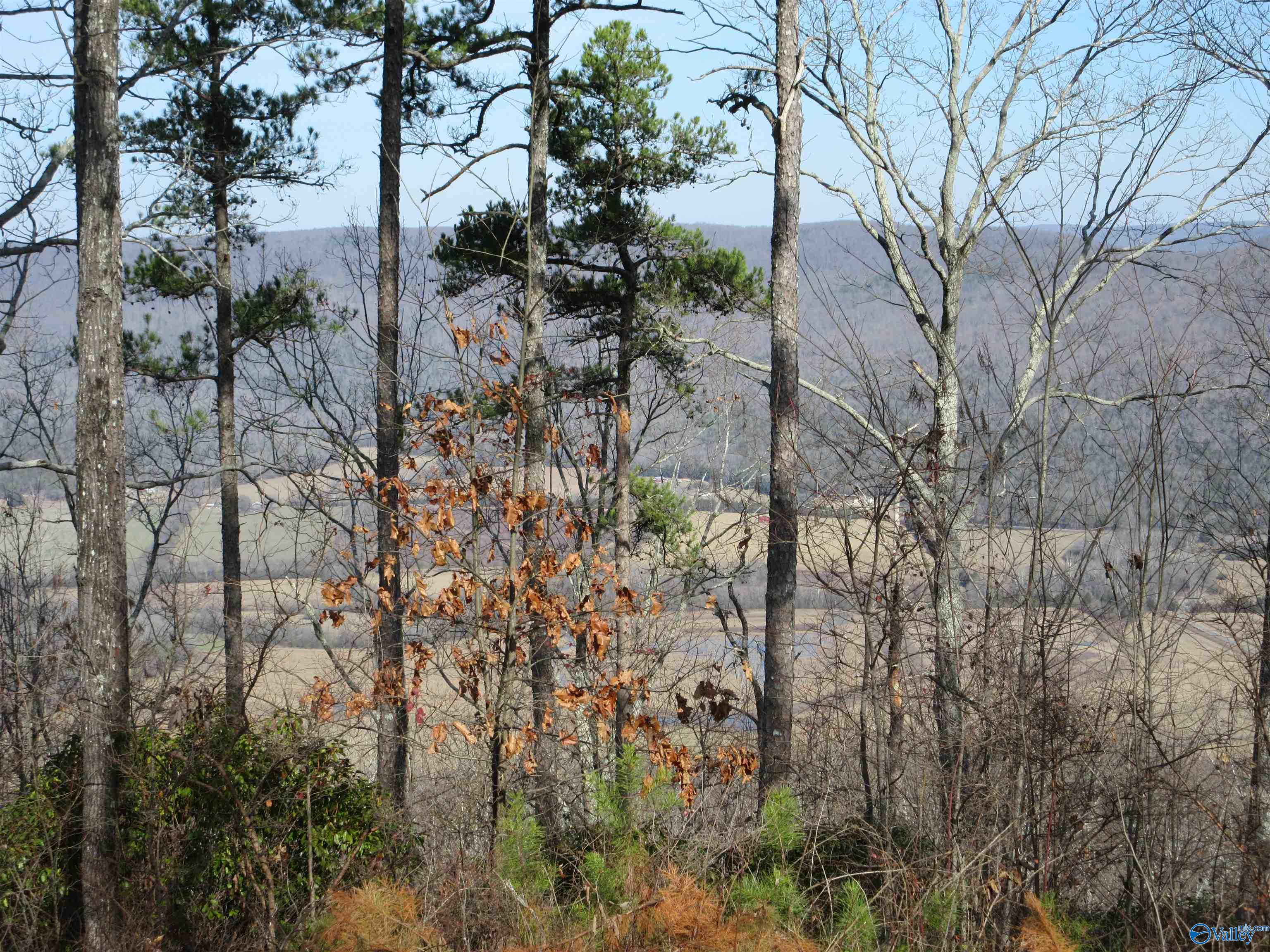 4400 County Road 39, Fackler, Alabama image 12