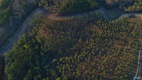 Vacant Land For Sale - 3.6 ACRES County Road 155<br/> Cherokee County, Centre, AL 35960