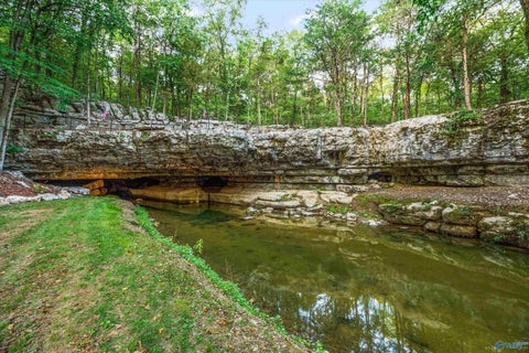 Vacant Land For Sale - 4201 Pleasant Valley Road<br/> Union Grove, AL 35175