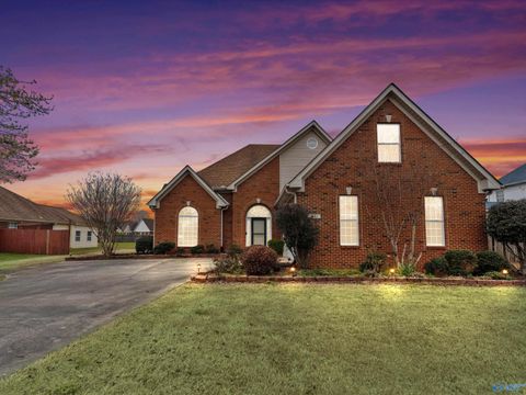 Photo of 262 Round Top Drive, Harvest, AL 35749 (MLS # 21912781)