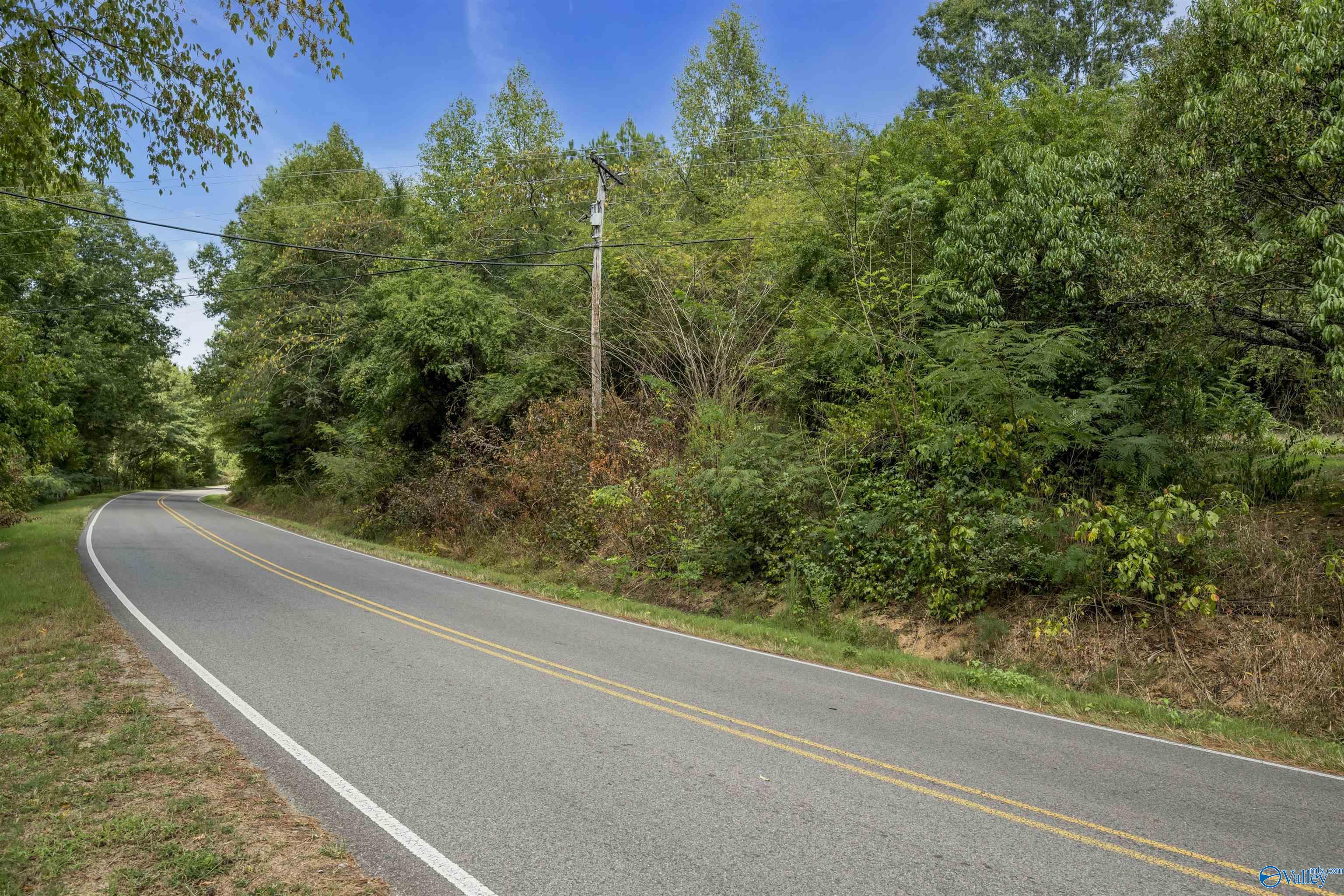 4811 County Road 565, Hanceville, Alabama image 9