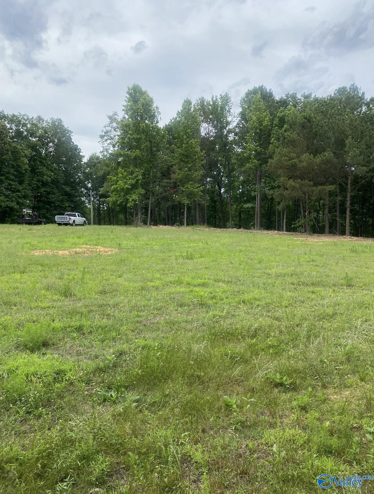 Lot 2060 County Road 182, Cedar Bluff, Alabama image 3