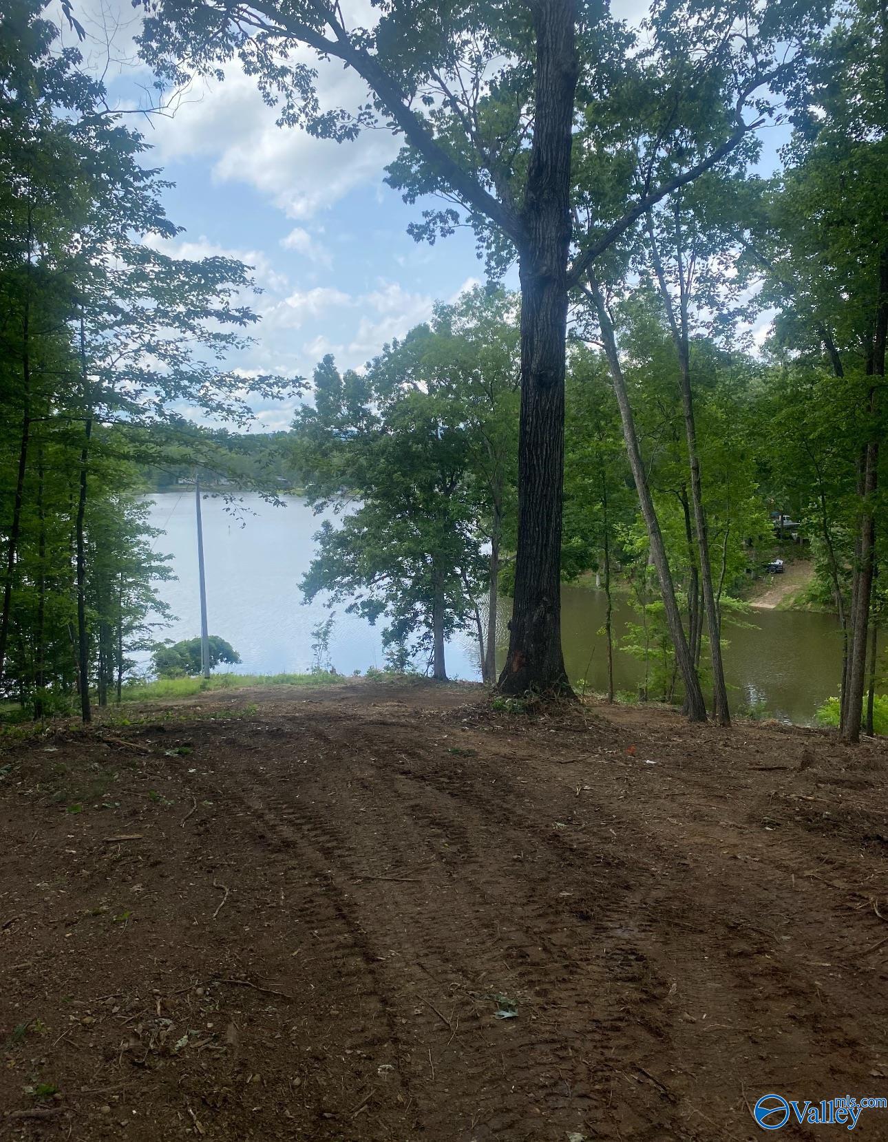 Lot 2060 County Road 182, Cedar Bluff, Alabama image 1