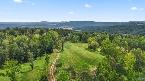 Vacant Land For Sale - 42 ACRES County Highway 11<br/> Hayden, AL 35079