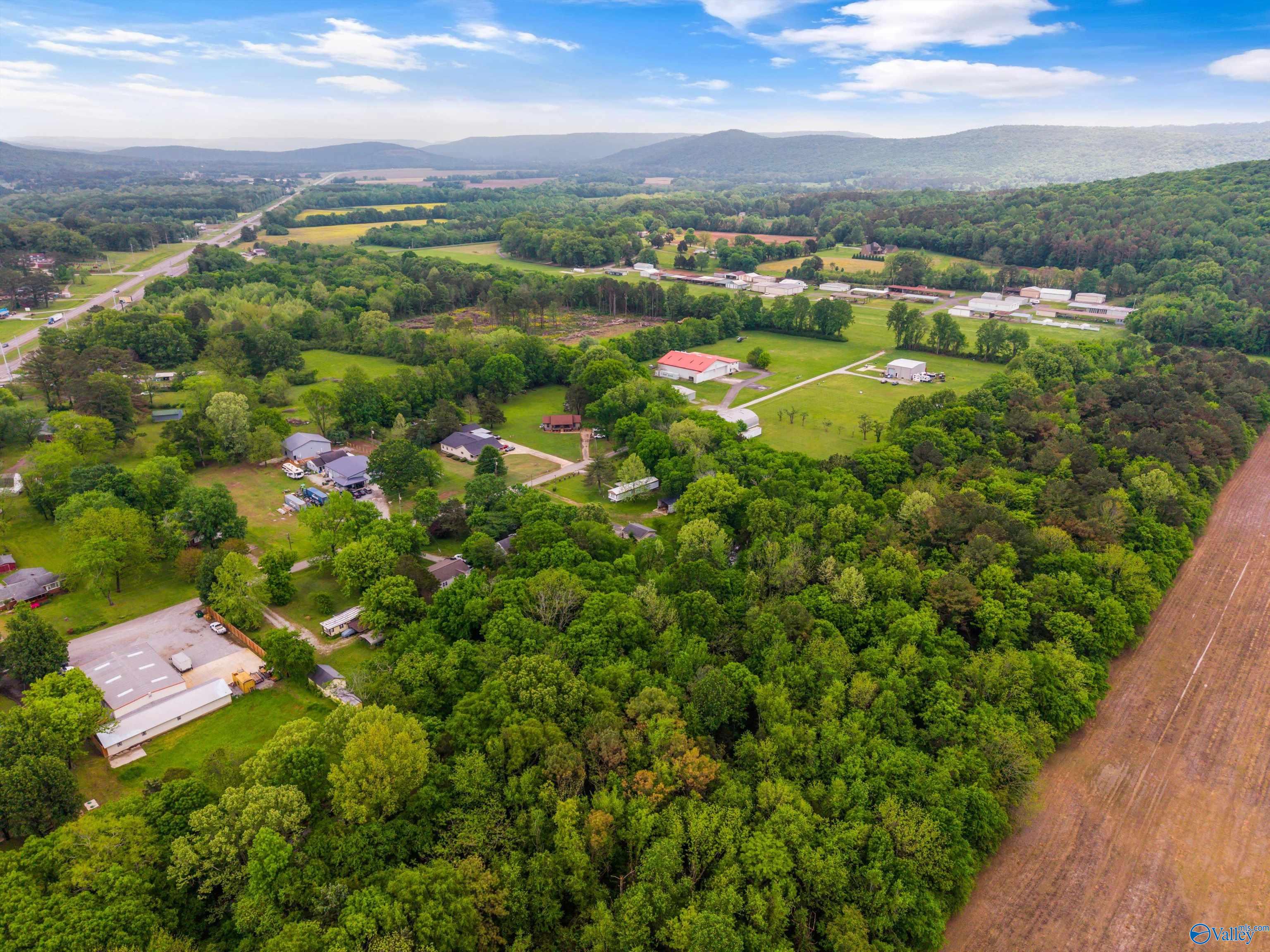 176 Lawler Drive, Brownsboro, Alabama image 34