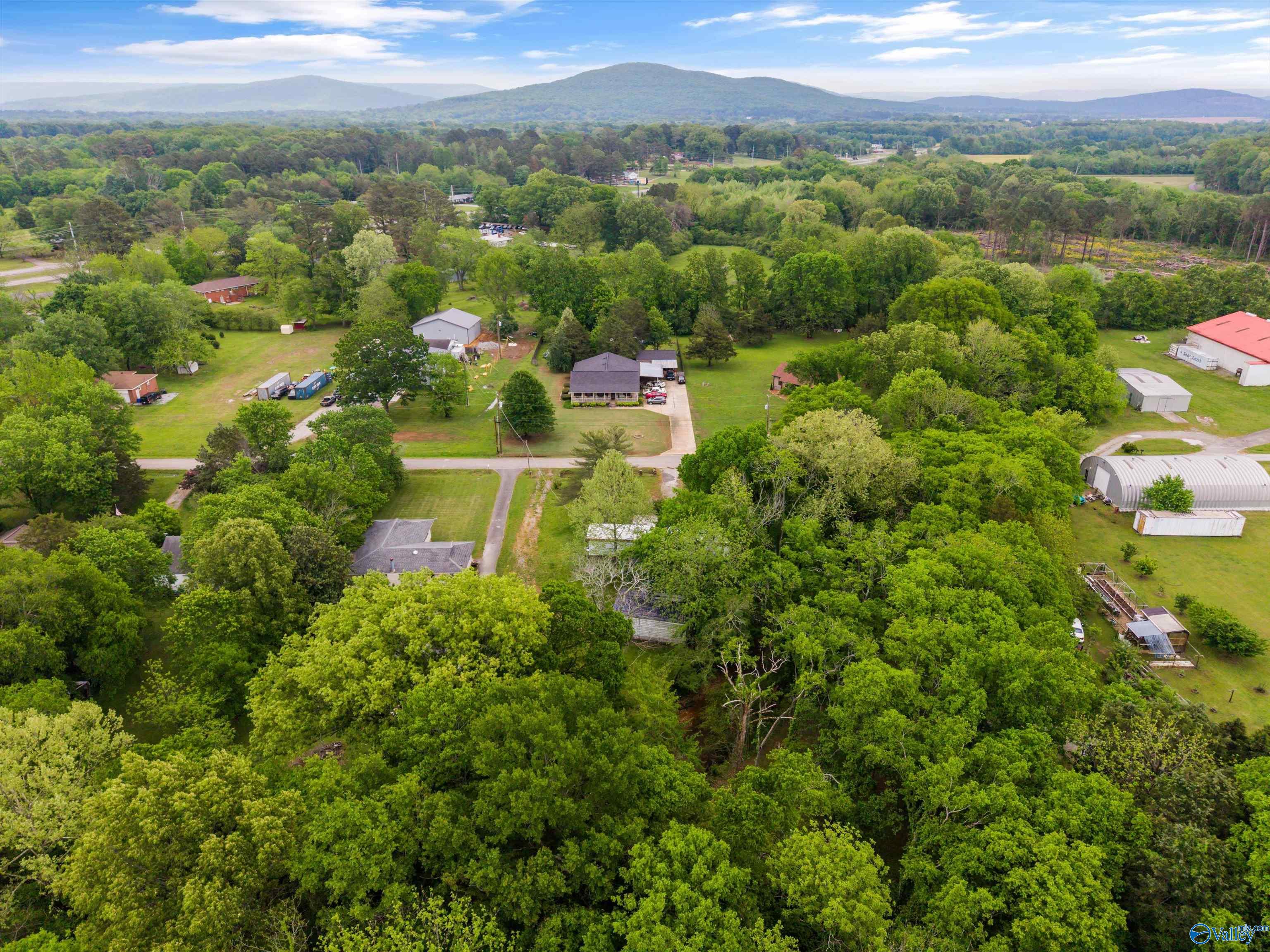 176 Lawler Drive, Brownsboro, Alabama image 32