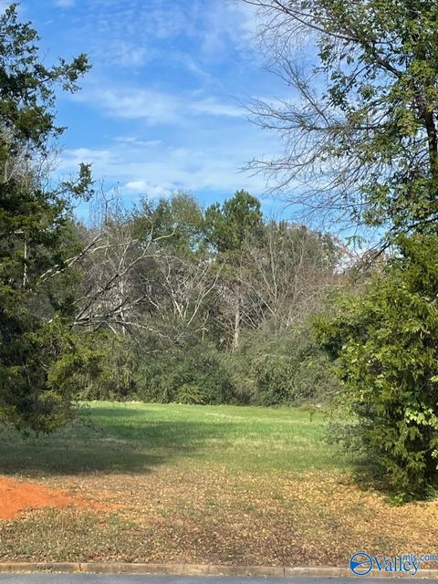 Vacant Land For Sale - LOT Byler Road<br/> Moulton, AL 35650