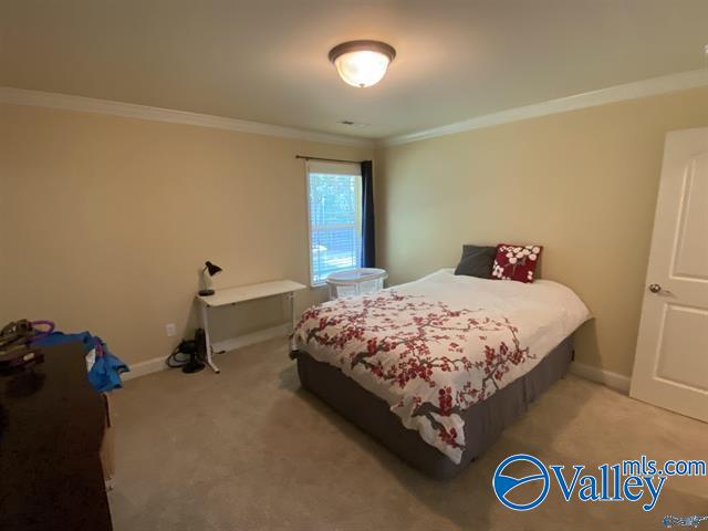 2611 Ashtynn Place, Huntsville, Alabama image 22