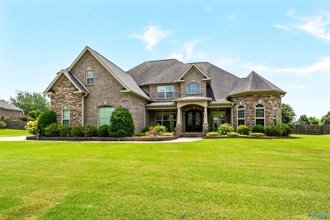 Homes For Sale - 6 Hadley Hill Lane<br/> Gurley, AL 35748