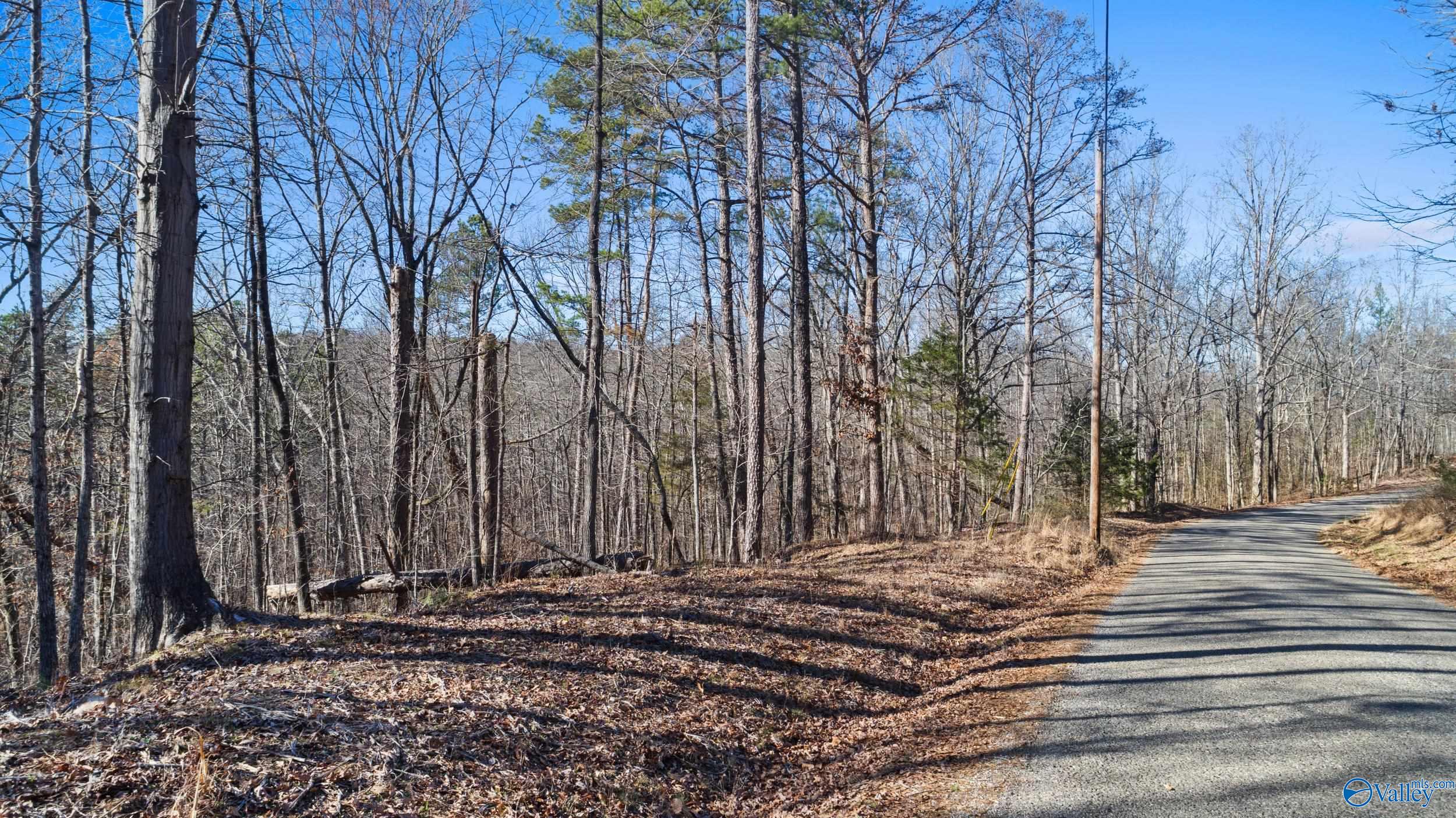 12 Bishop Mountain Road, Grant, Alabama image 1