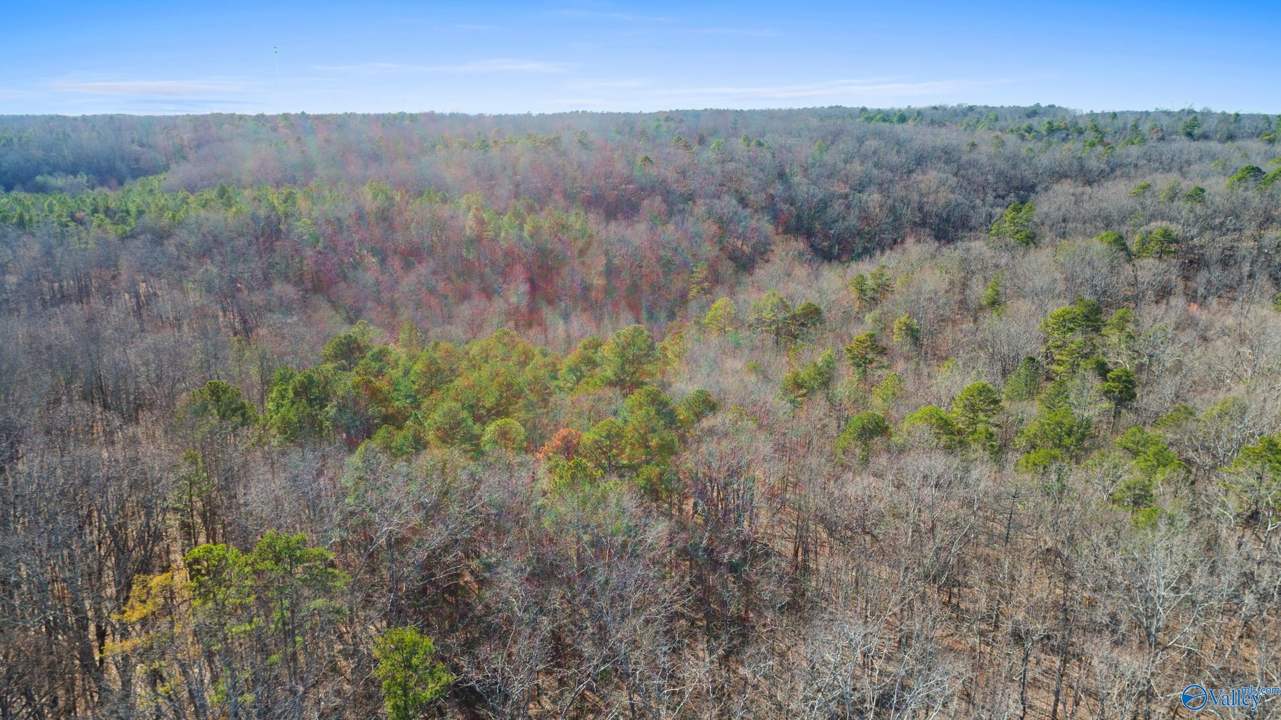 12 Bishop Mountain Road, Grant, Alabama image 3