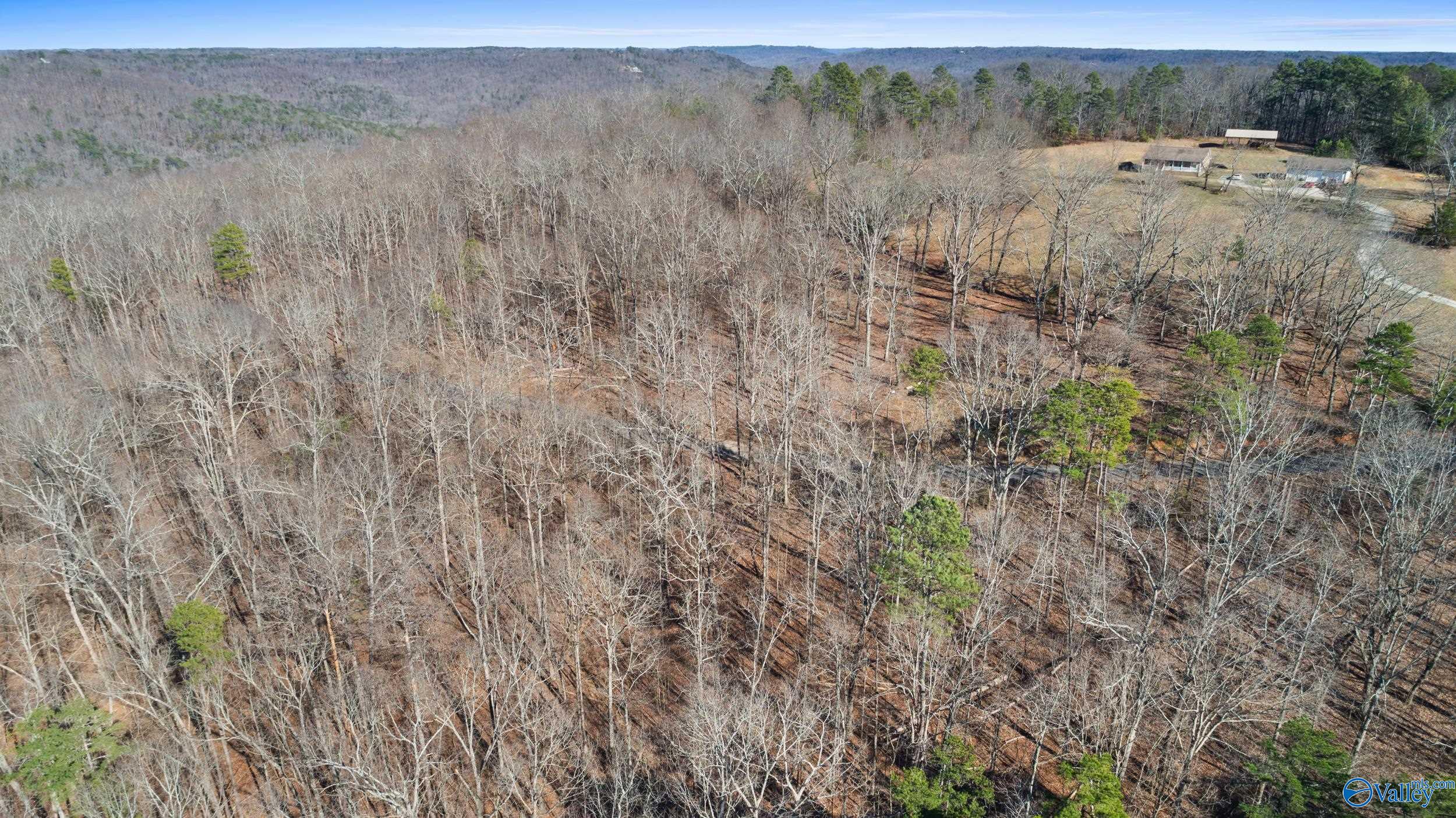 12 Bishop Mountain Road, Grant, Alabama image 5