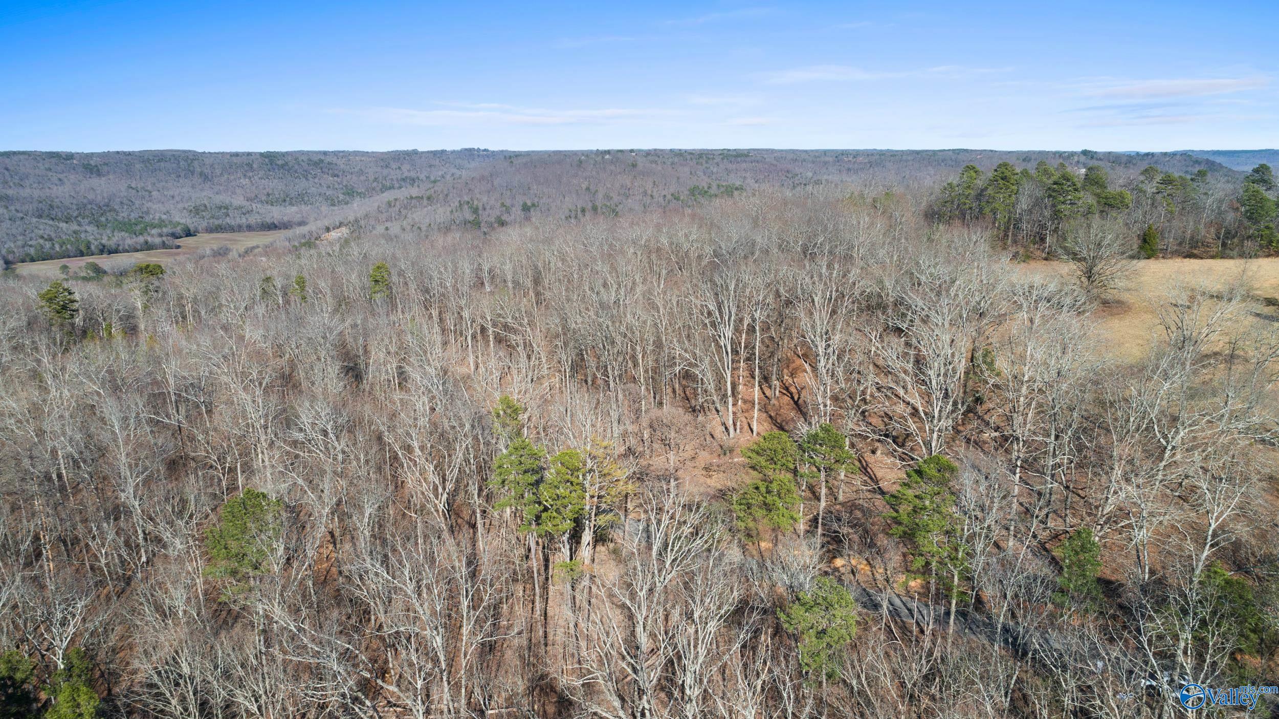 12 Bishop Mountain Road, Grant, Alabama image 7