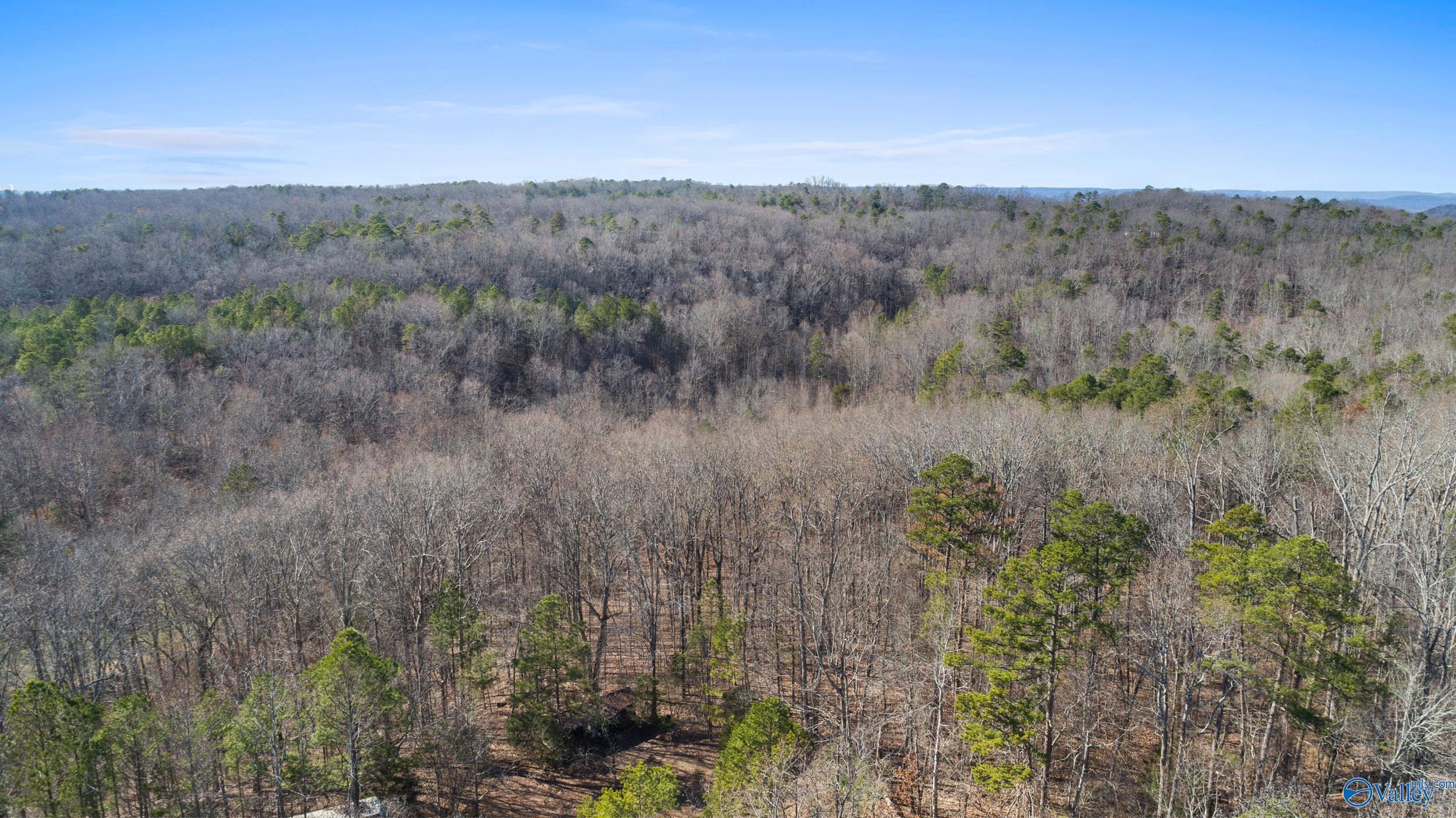12 Bishop Mountain Road, Grant, Alabama image 8