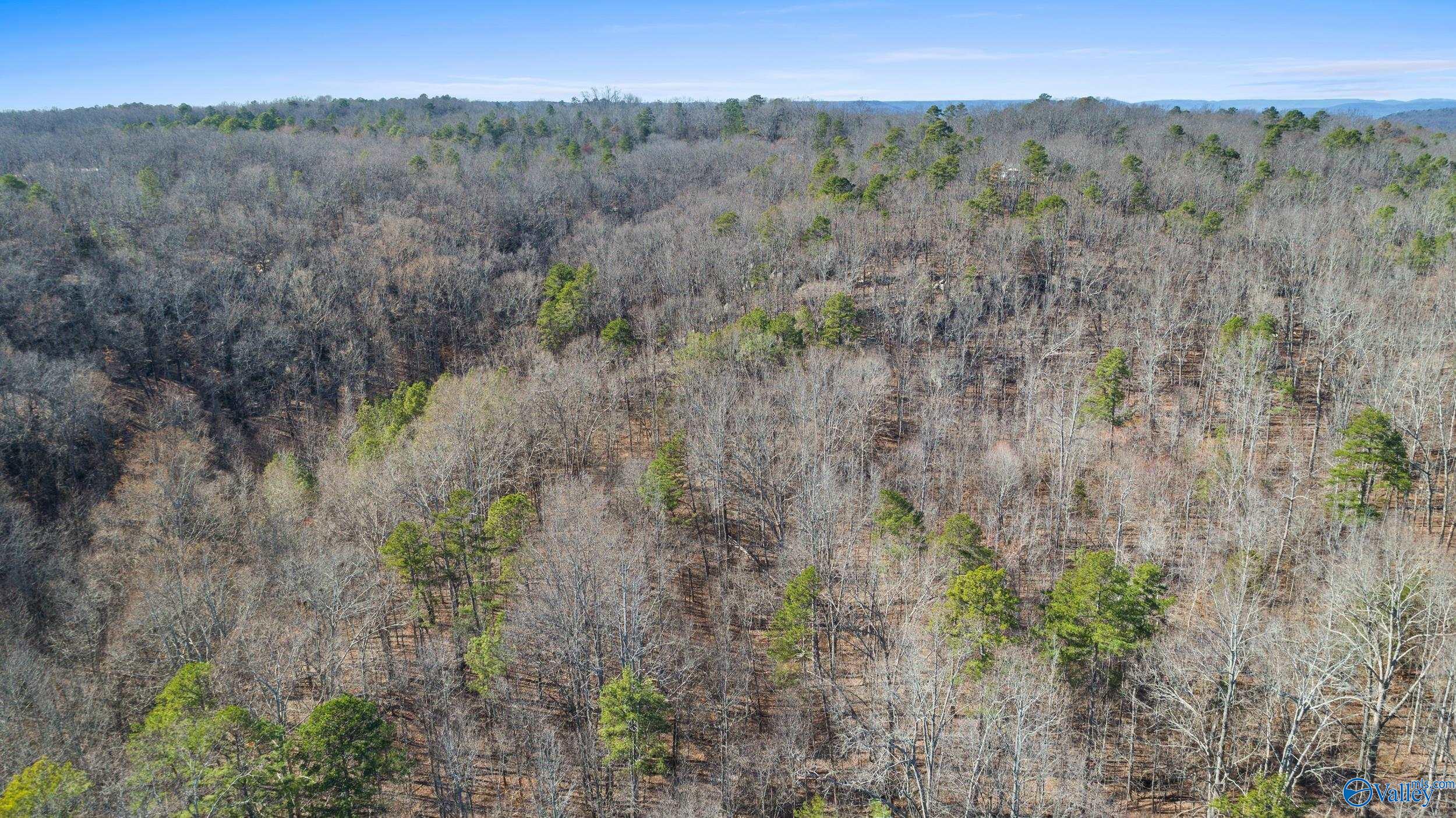 12 Bishop Mountain Road, Grant, Alabama image 10