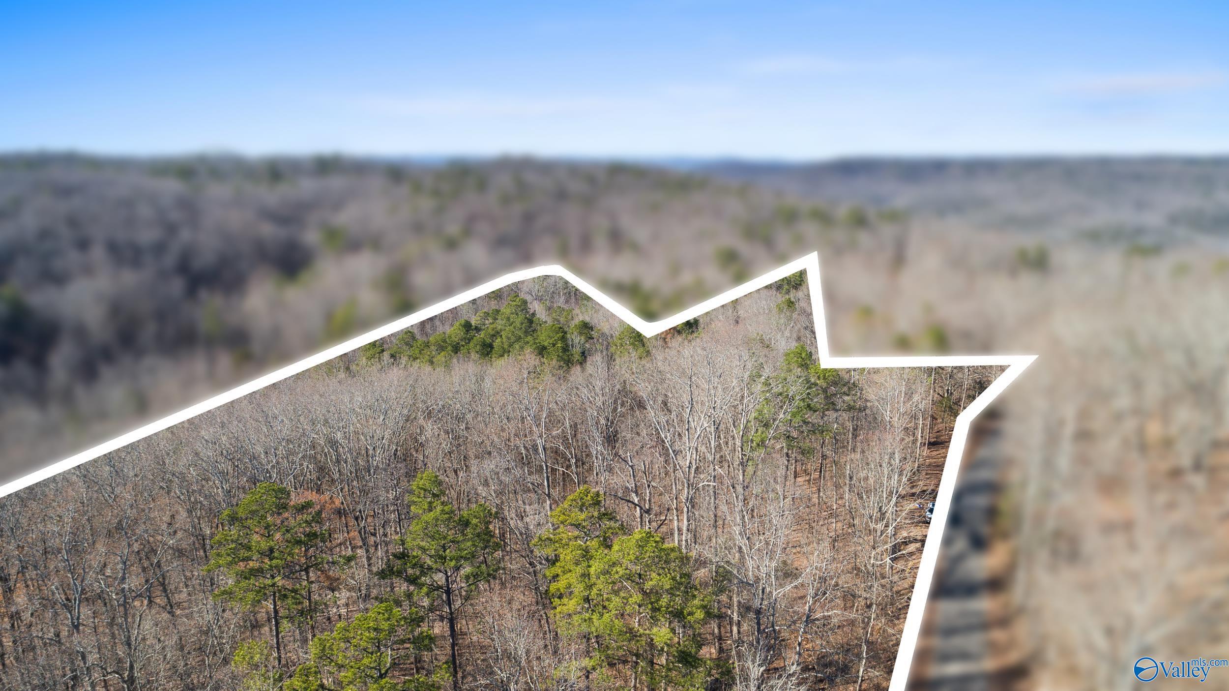12 Bishop Mountain Road, Grant, Alabama image 9