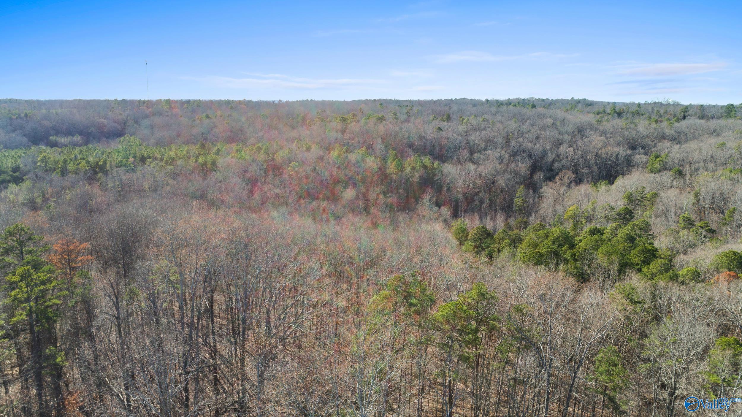 12 Bishop Mountain Road, Grant, Alabama image 13
