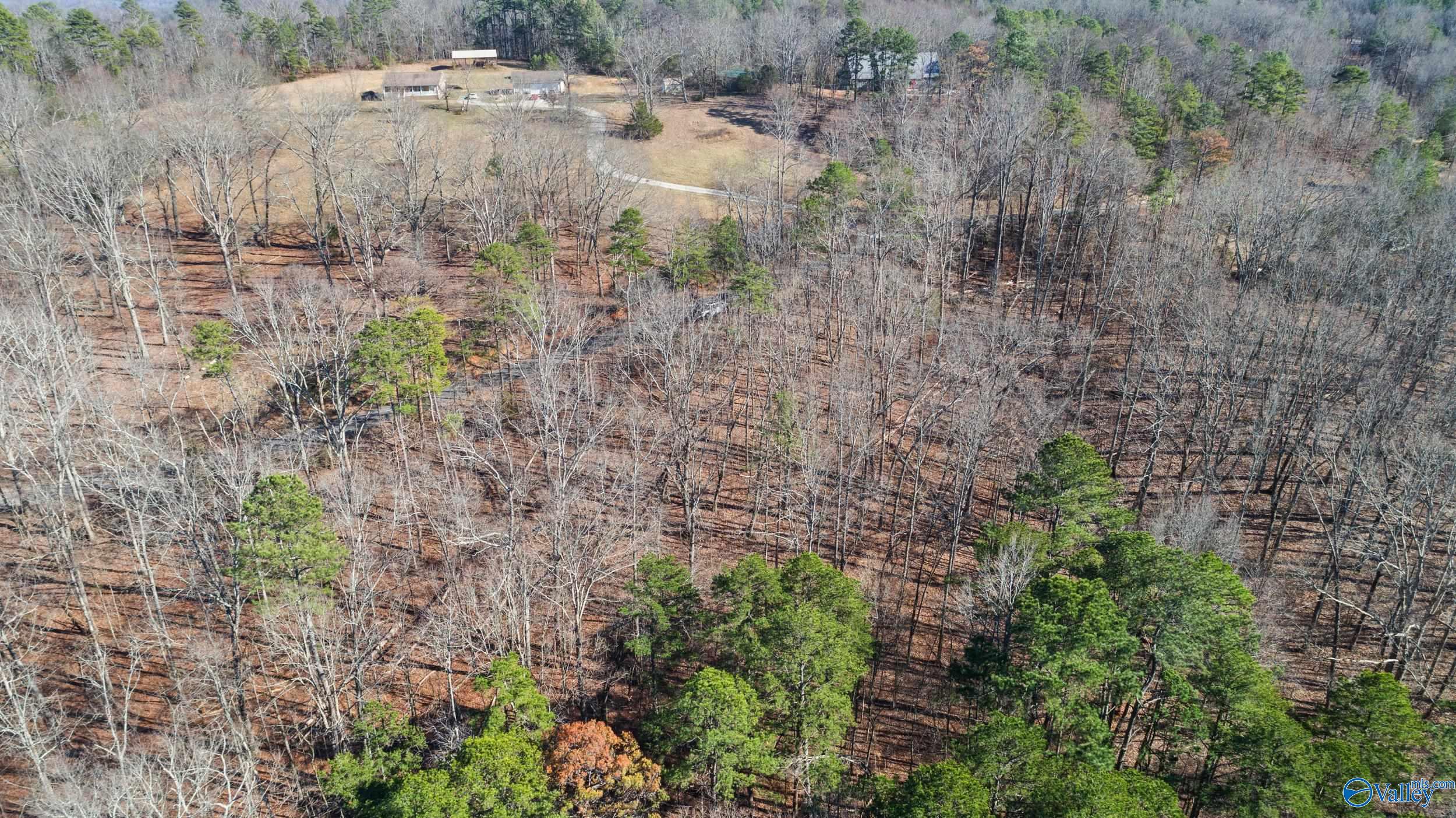 12 Bishop Mountain Road, Grant, Alabama image 4