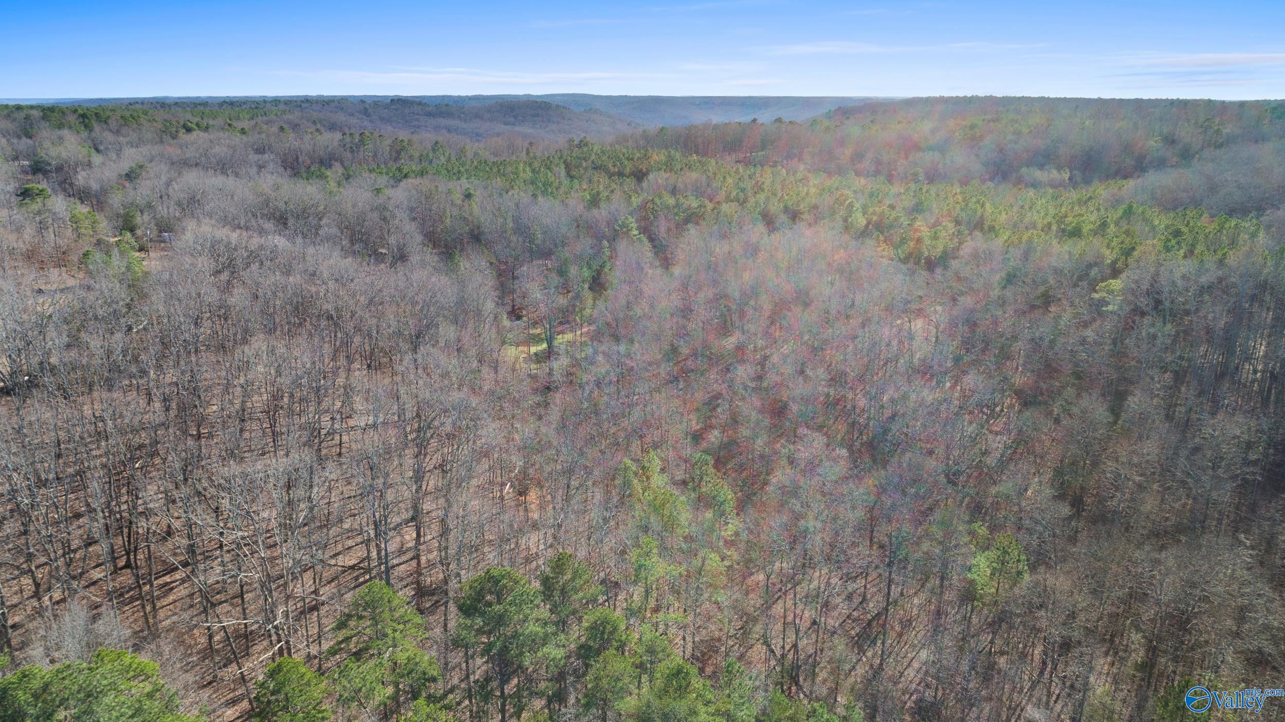 12 Bishop Mountain Road, Grant, Alabama image 11
