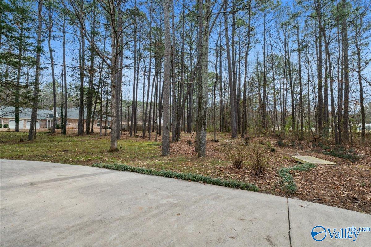 4711 Pineridge Circle, Decatur, Alabama image 49