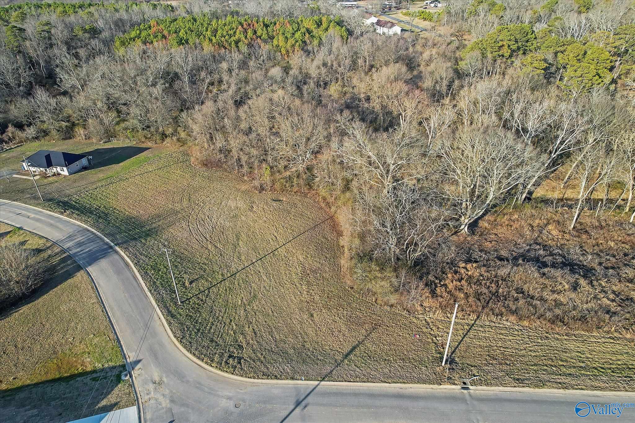 Lot 69 Paraiso Creek Drive, Albertville, Alabama image 2