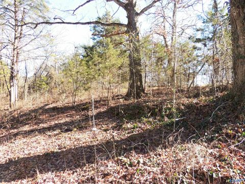 Vacant Land For Sale - 74.5 ACRES County Road 9<br/> Moulton, AL 35650