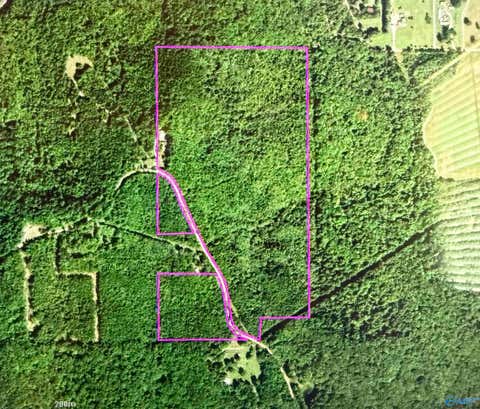 Vacant Land For Sale - 74.5 ACRES County Road 9<br/> Lawrence County, Moulton, AL 35650
