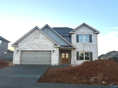 Photo of 342 Wanto Lane, Huntsville, AL 35811 (MLS # 21906242)