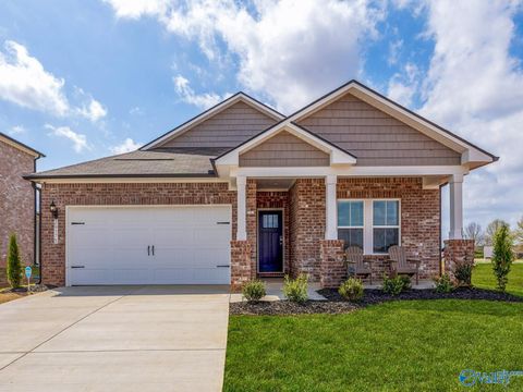 Homes For Sale - 263 Avebury Road<br/> Madison County, Meridianville, AL 35759