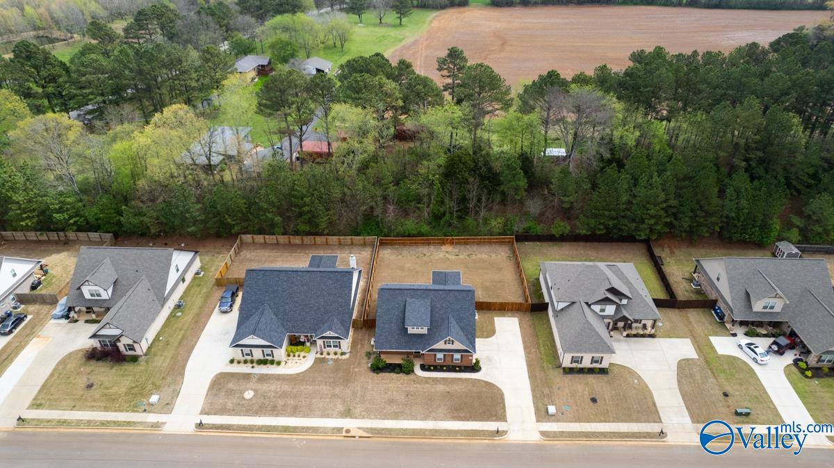 111 Ivy Vine Drive, Toney, Alabama image 46
