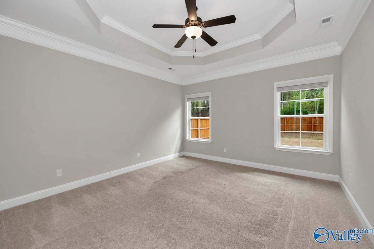 111 Ivy Vine Drive, Toney, Alabama image 24