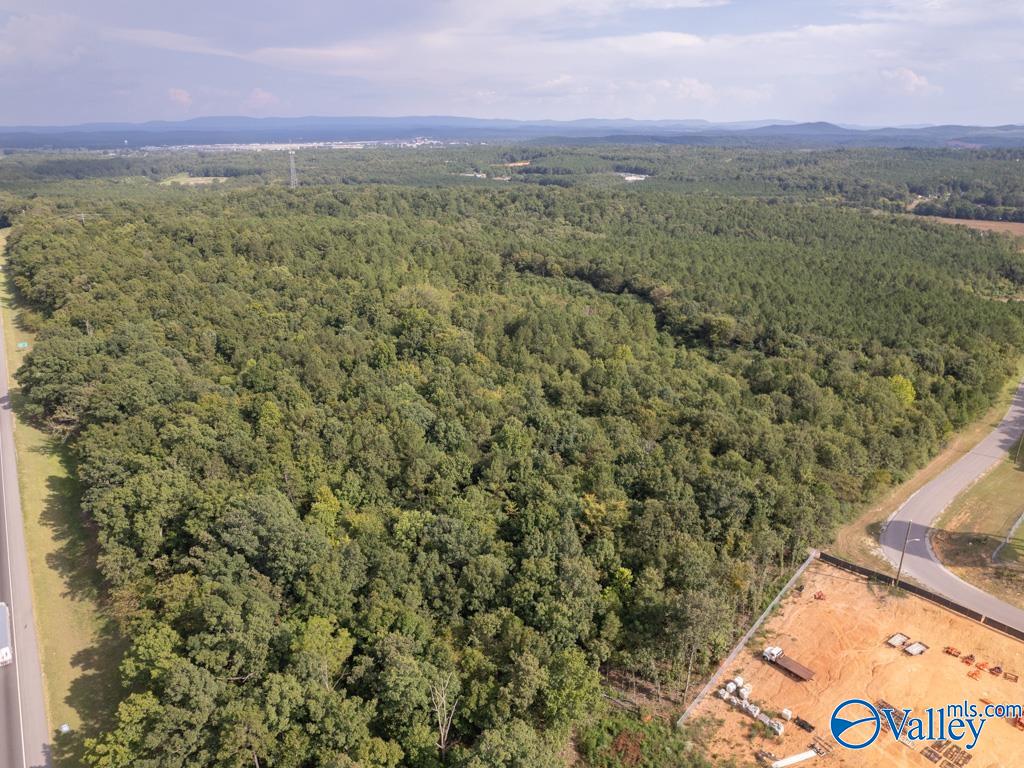 92 Acres Industrial Drive, Lincoln, Alabama image 4